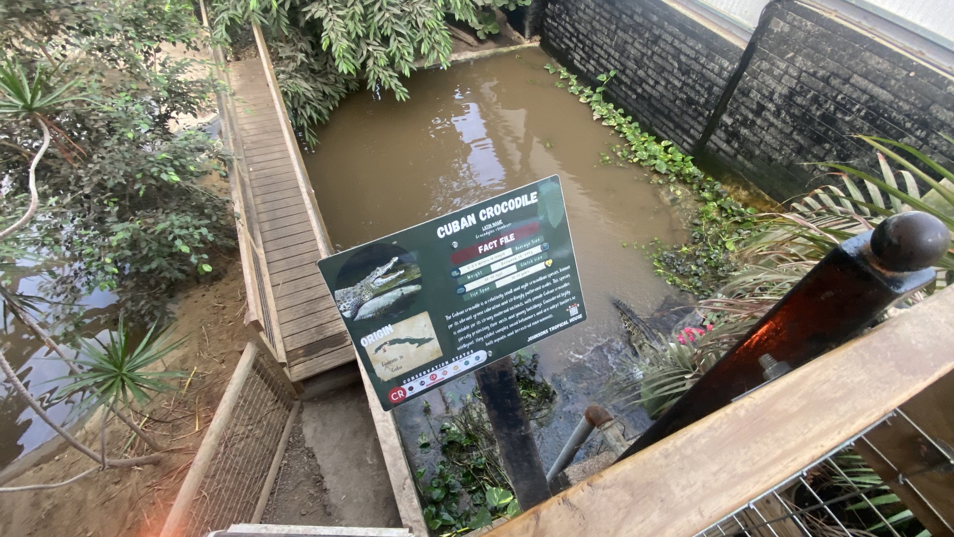 Crocodile House - Cuban crocodile exhibit 021125