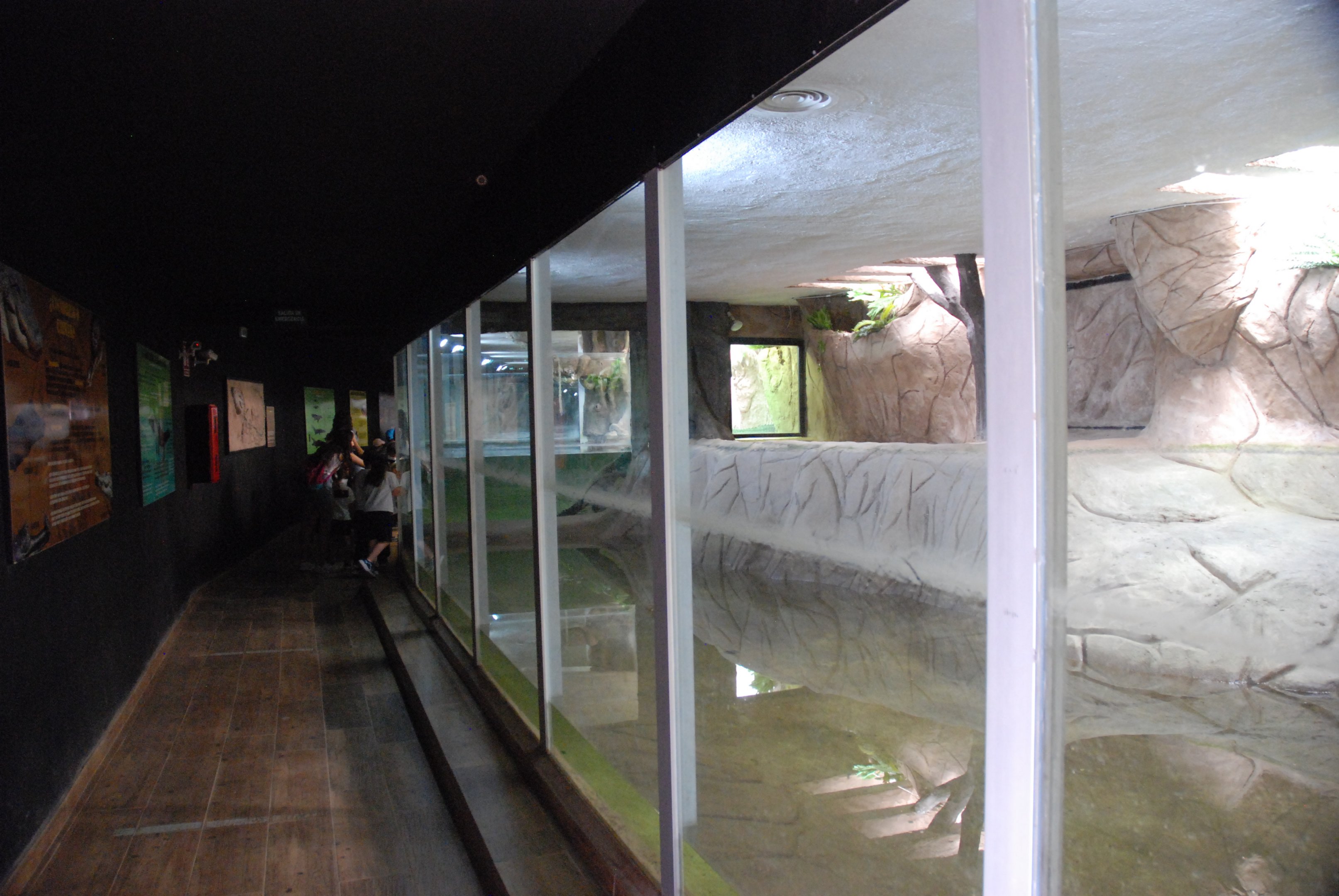 Crocodile House (Dwarf Crocodiles and Common Snapping Turtles) at Safari Madrid, 19th May 2022