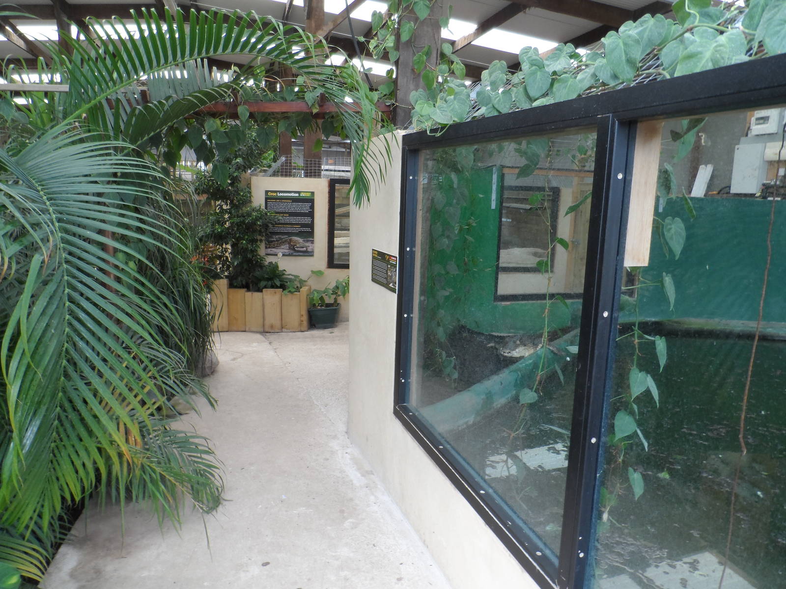 Crocodile House Entrance