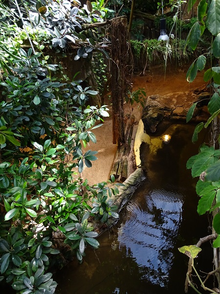 Crocodile House; giant otter enclosure (04/22)