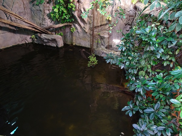 Crocodile House; giant otter enclosure (04/22)