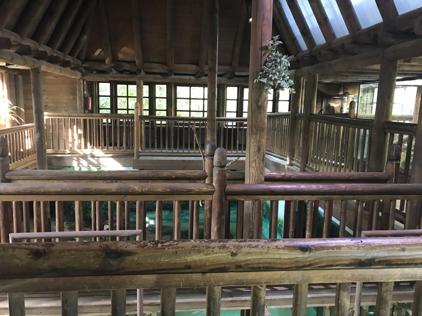 Crocodile House interior 171018