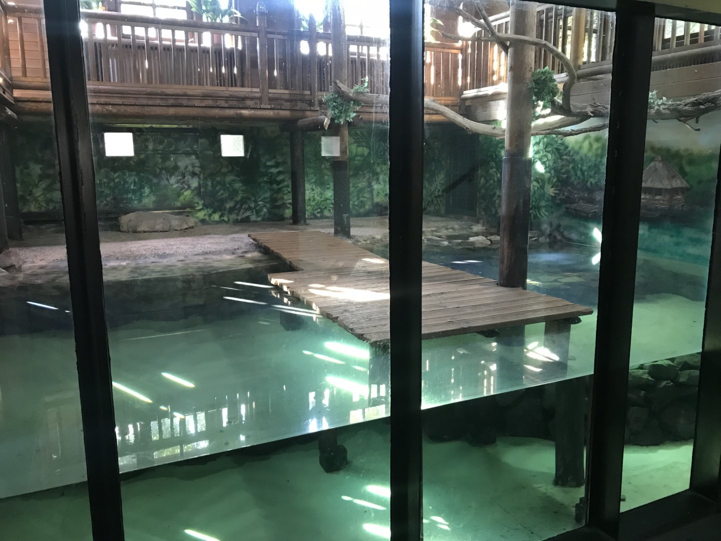 Crocodile House interior 171018