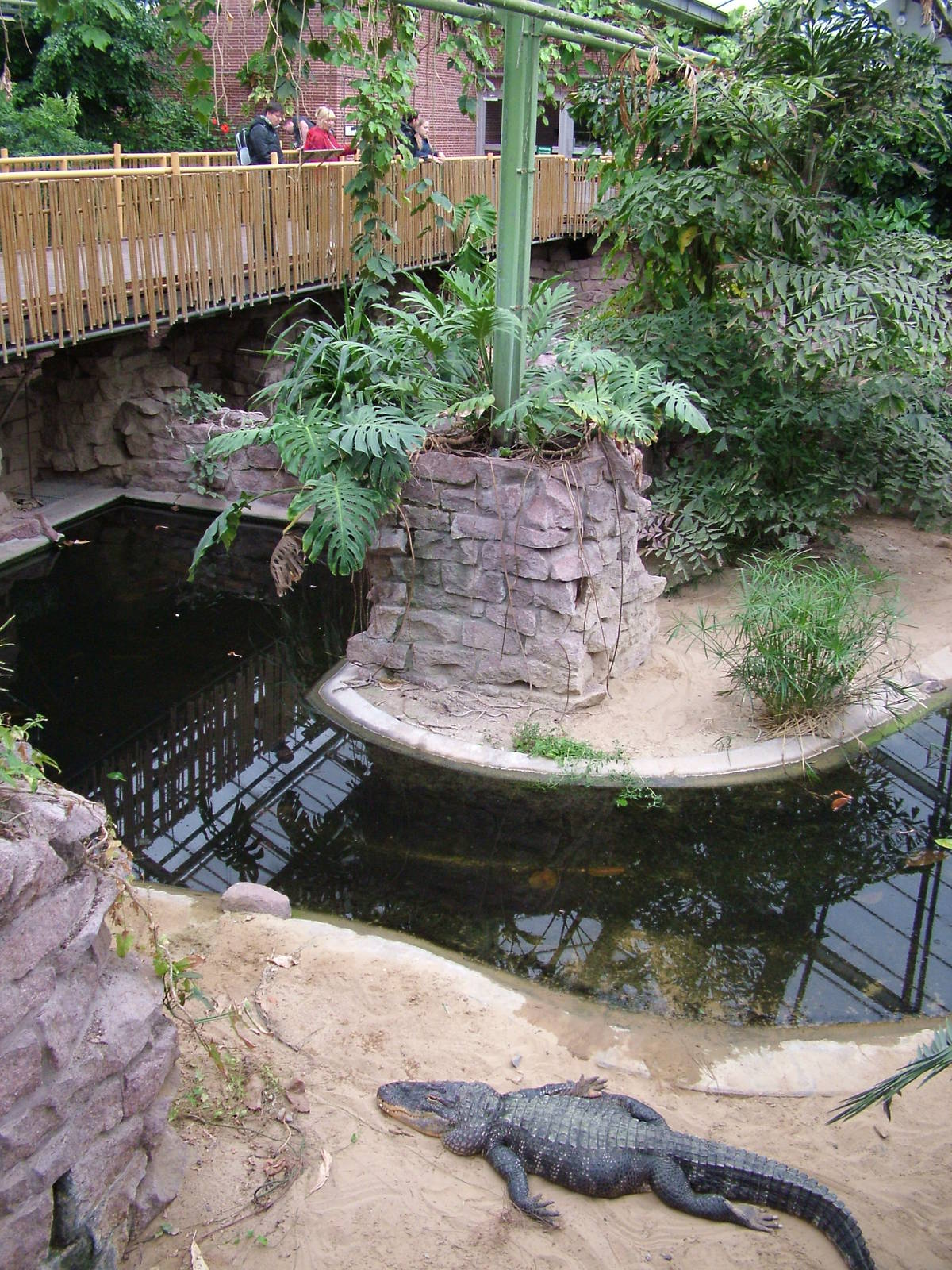 Crocodile House Interior at Tierpark Berlin, 30/08/11