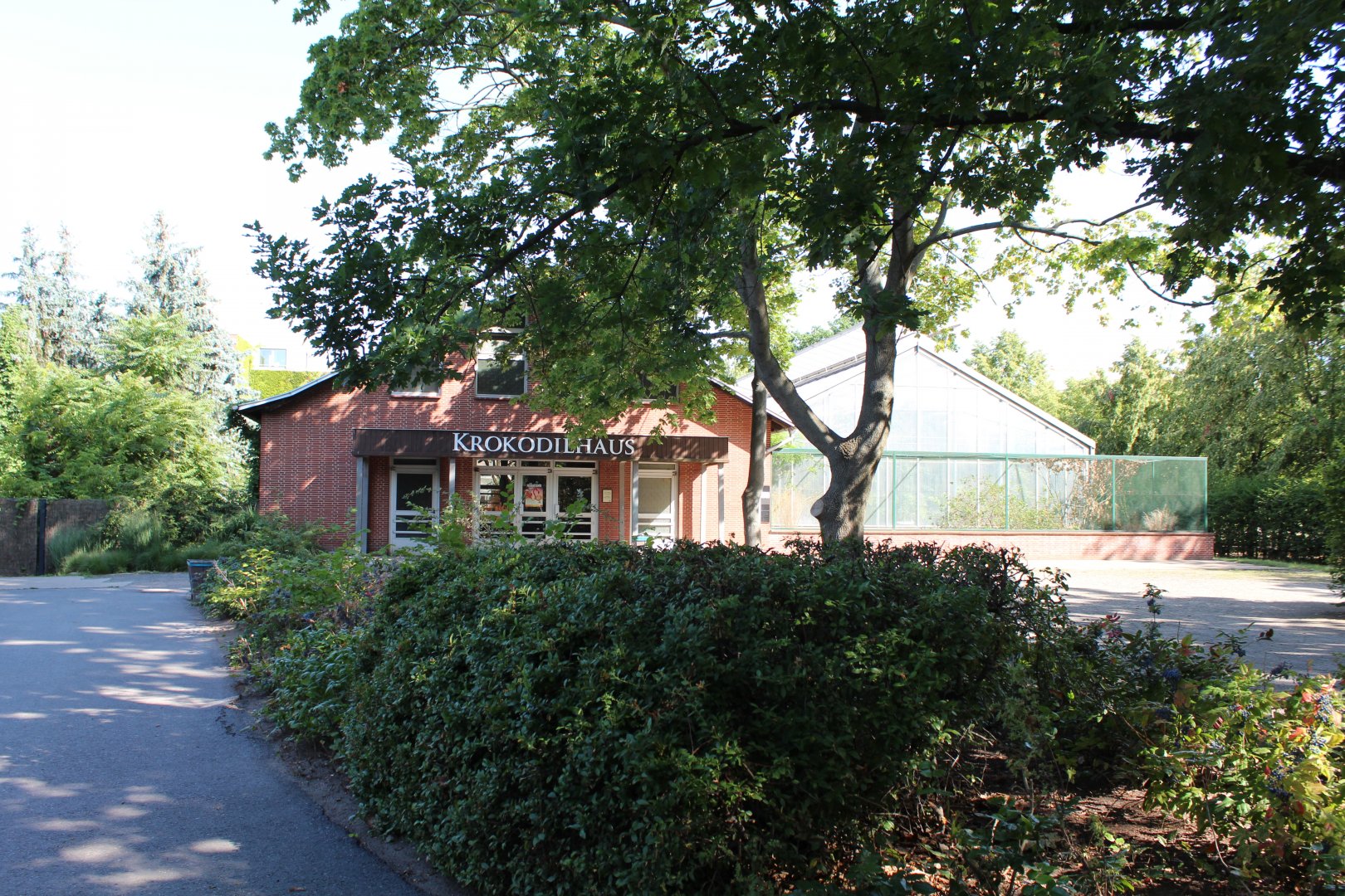 Crocodile House - July 2019