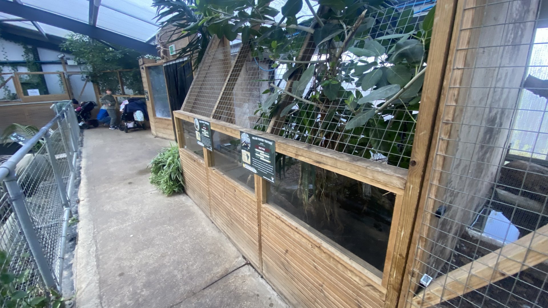 Crocodile House - Mixed tortoise exhibit 021125