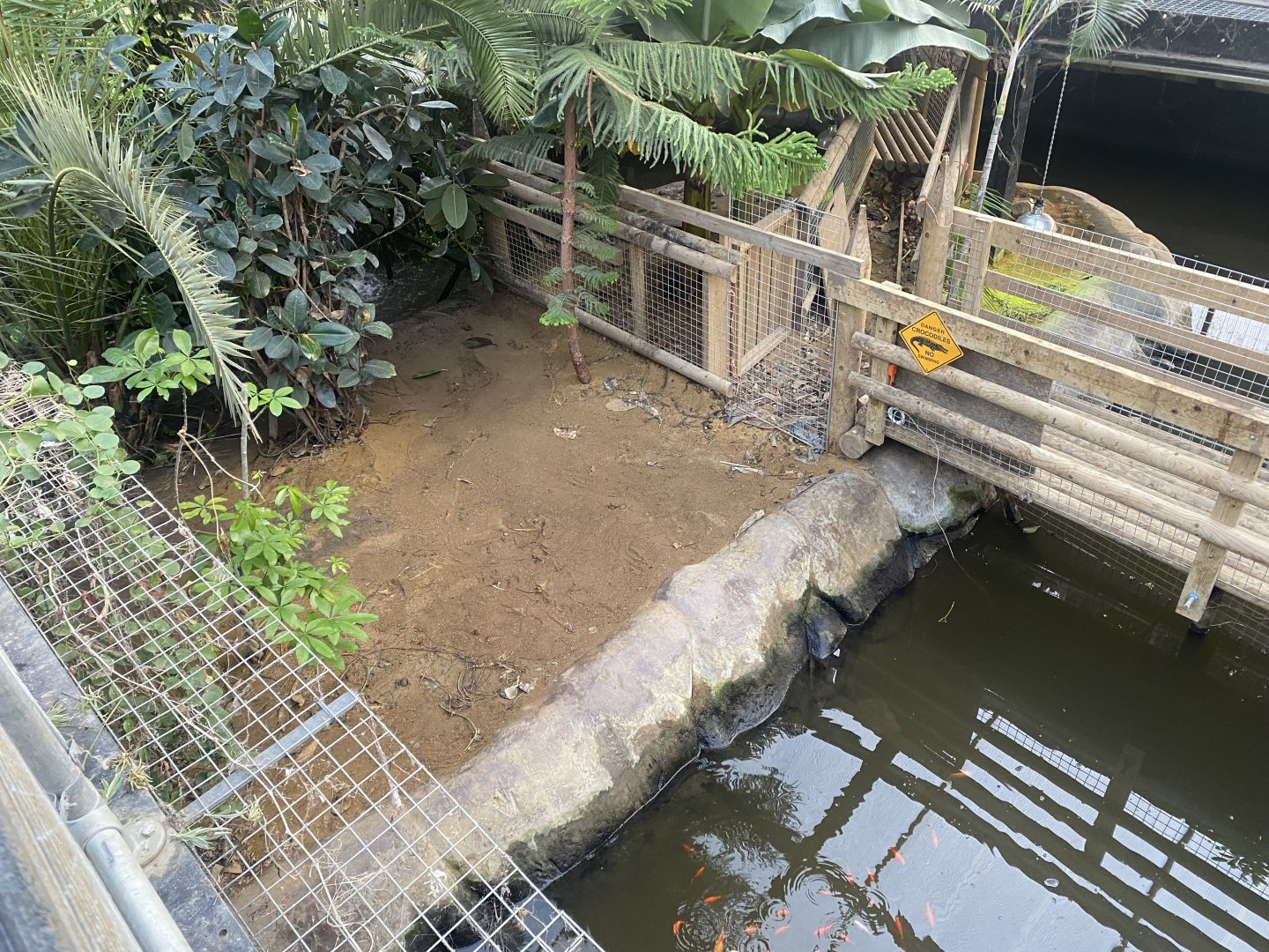 Crocodile House - Nile crocodile enclosure 021125