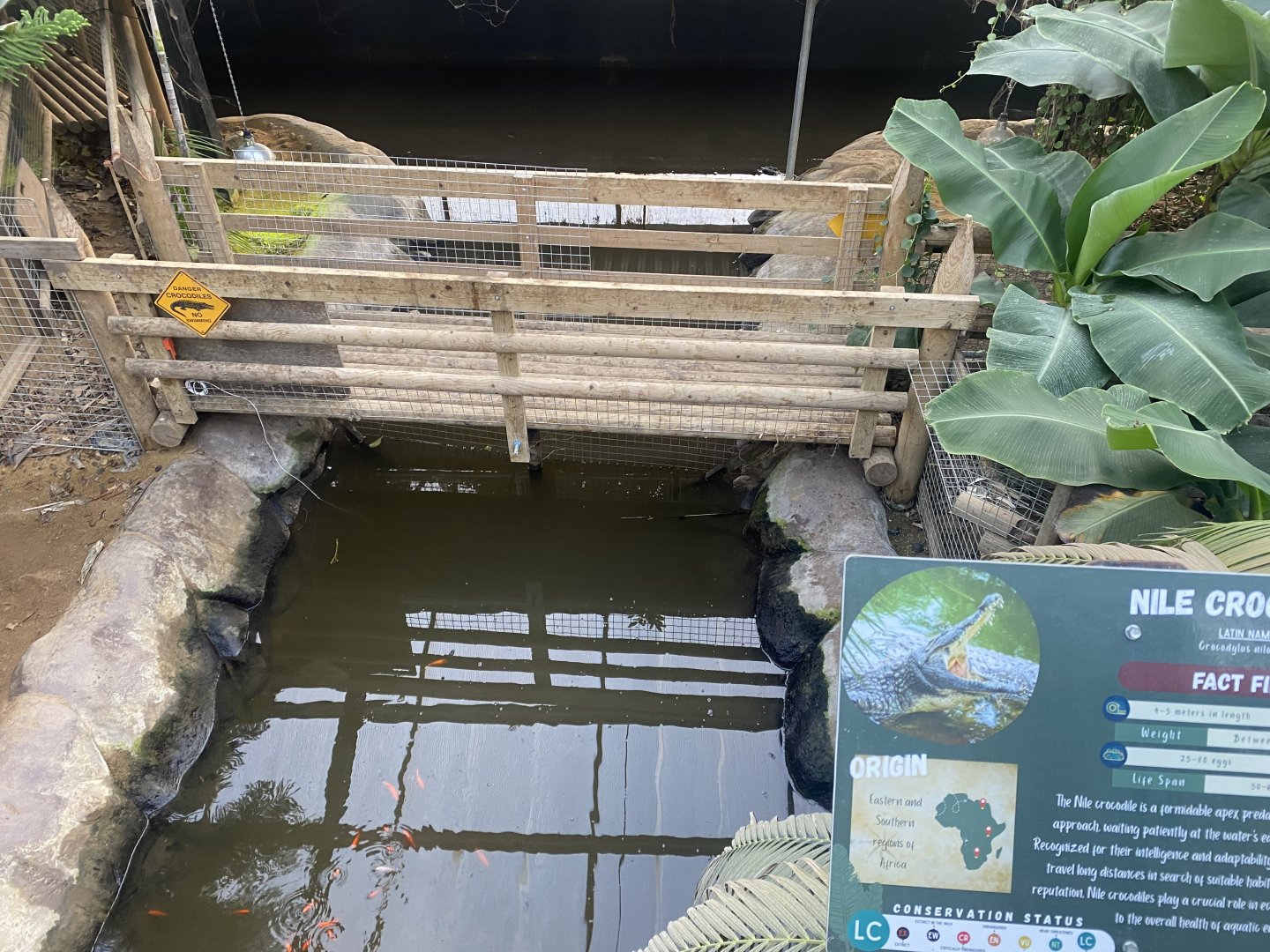 Crocodile House - Nile crocodile enclosure 021125