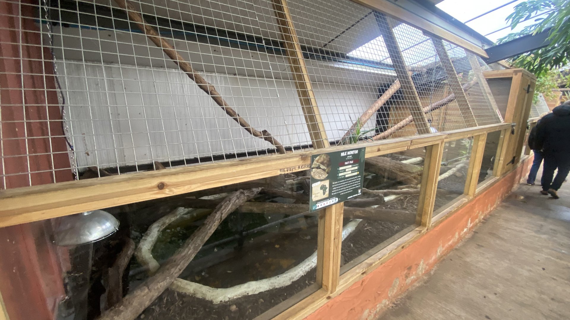 Crocodile House - Nile monitor exhibit 021125