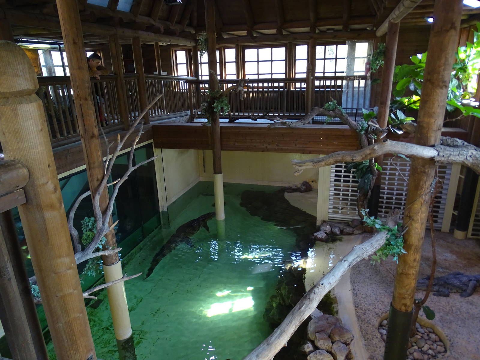 Crocodile house