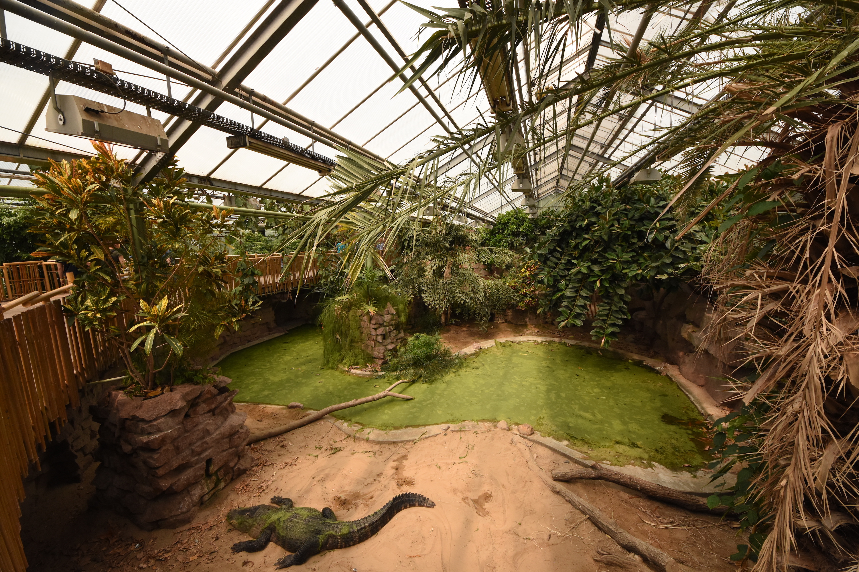 Crocodile house