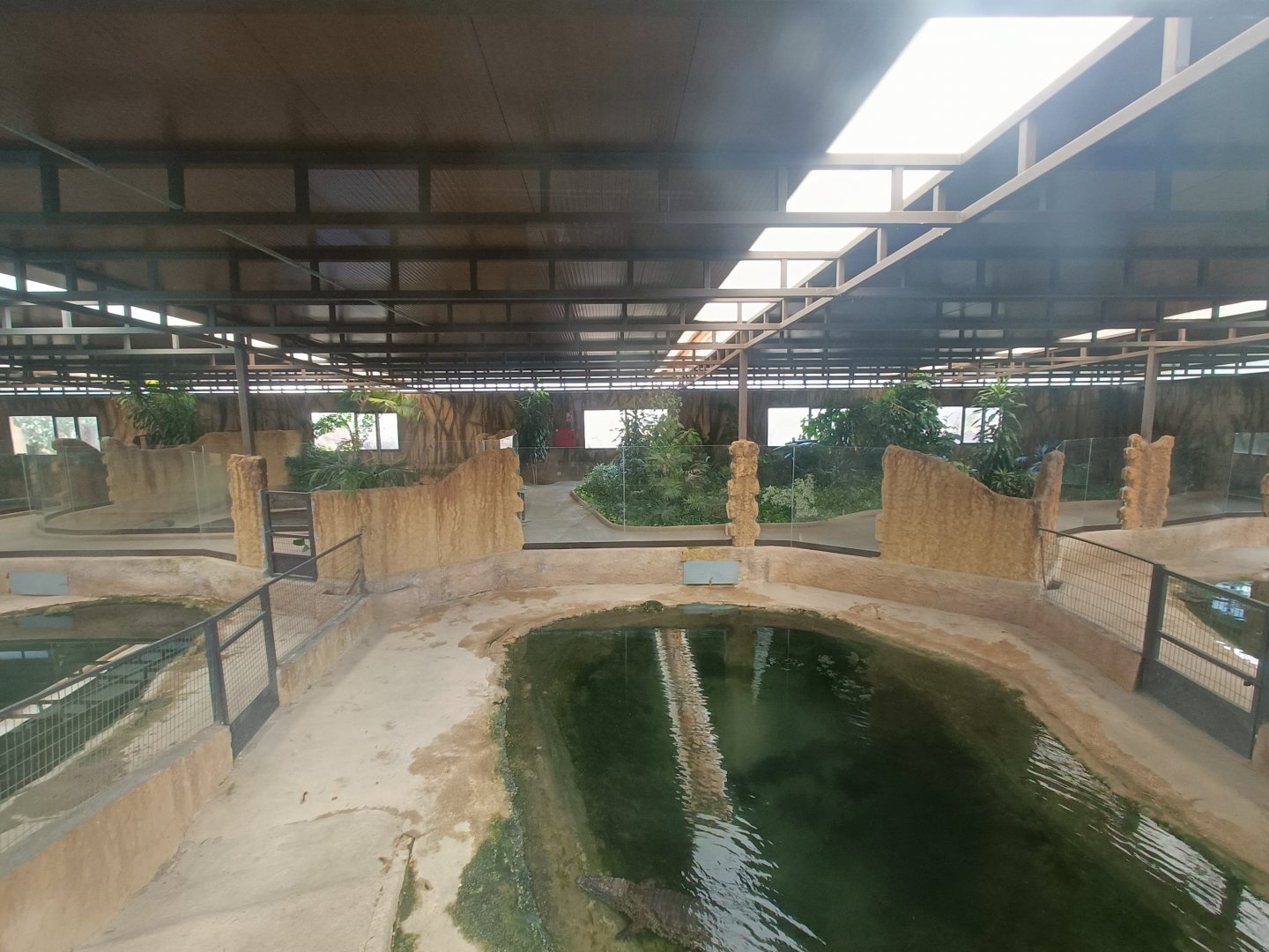 Crocodile inside exhibits - Crocodile park Torremolinos