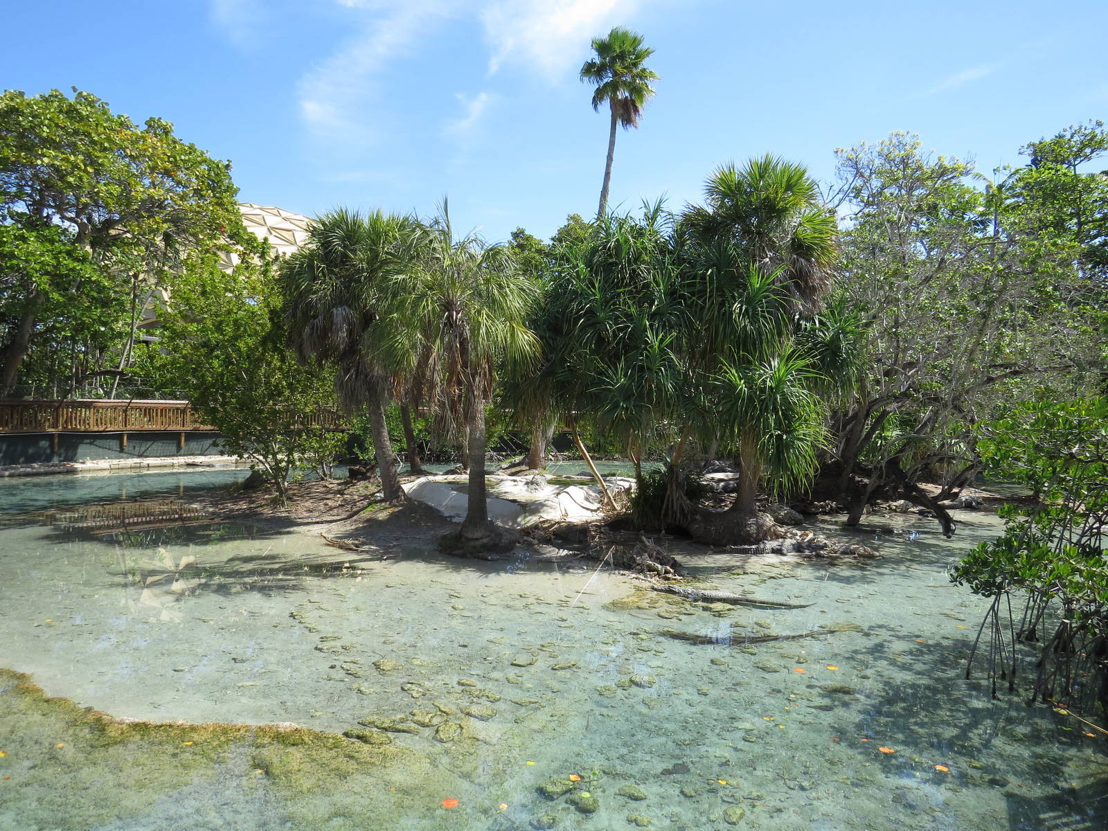 Crocodile island, March 2015