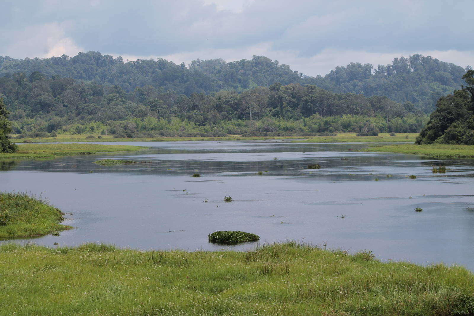 Crocodile Lake, Cat Tien National Park