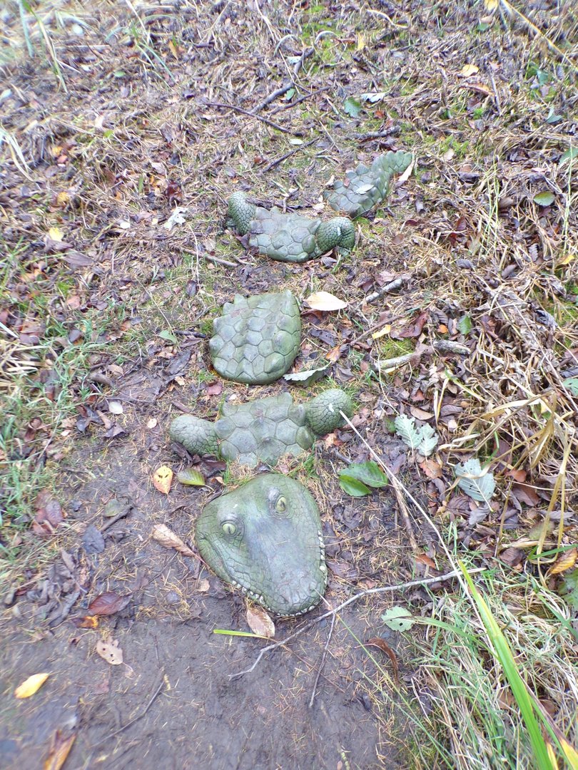 Crocodile model in the pond
