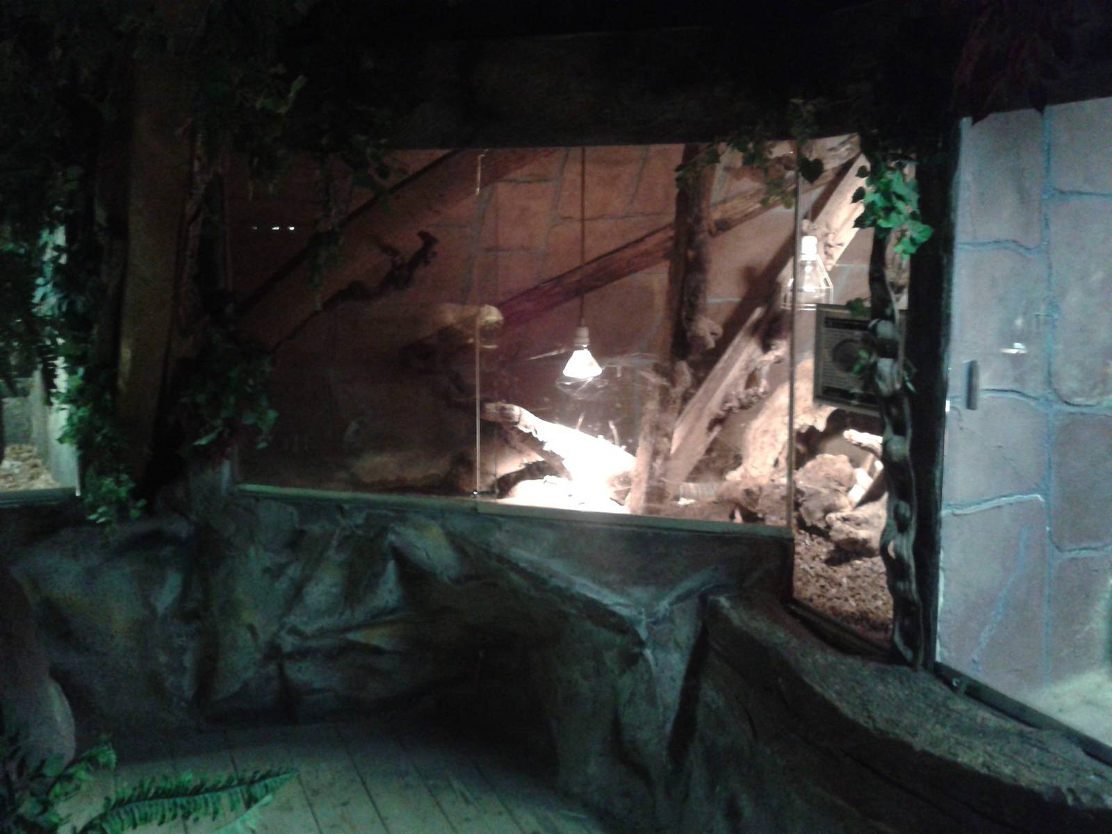 Crocodile monitor enclosure