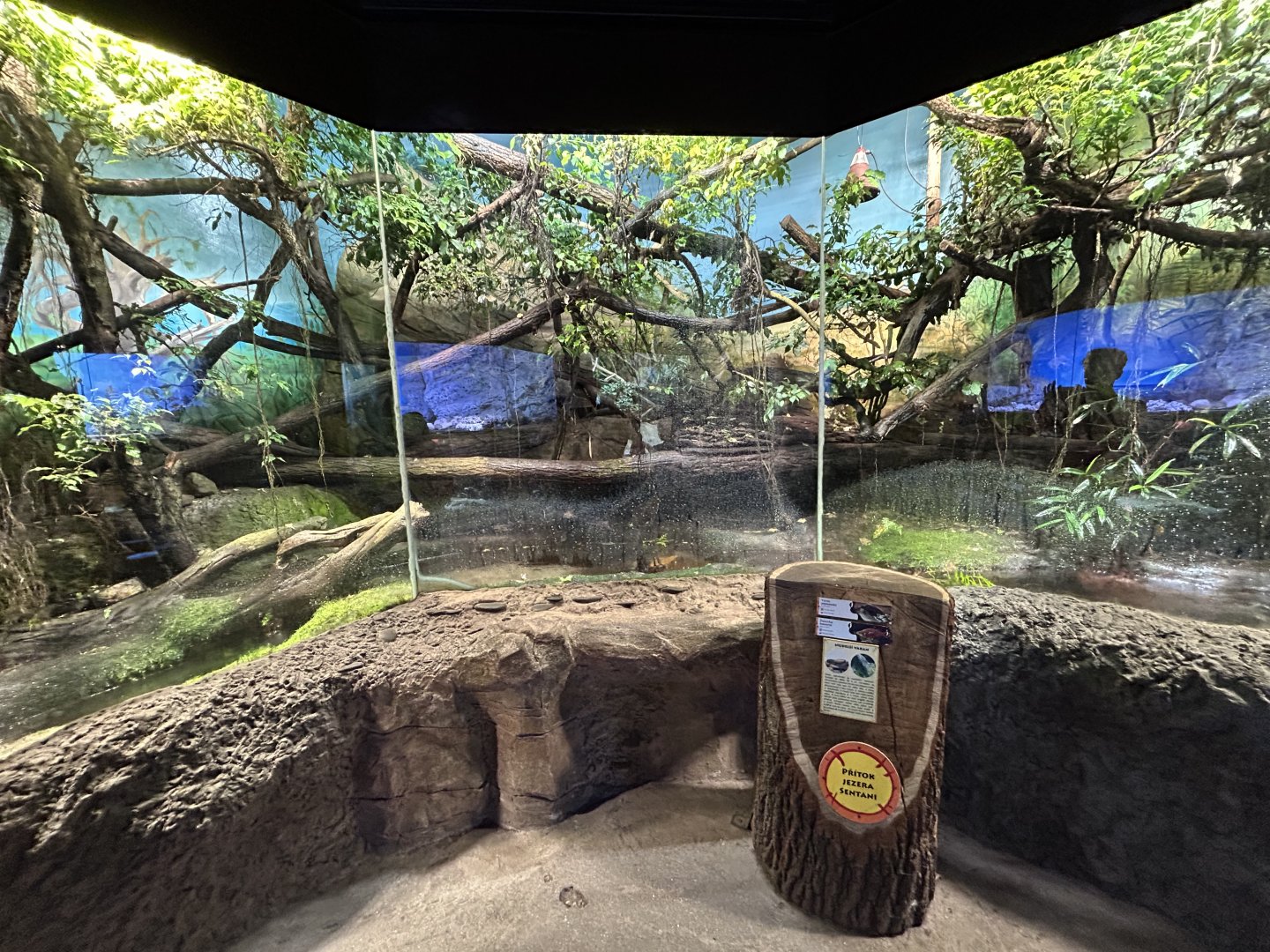 Crocodile Monitor Exhibit - Papua House