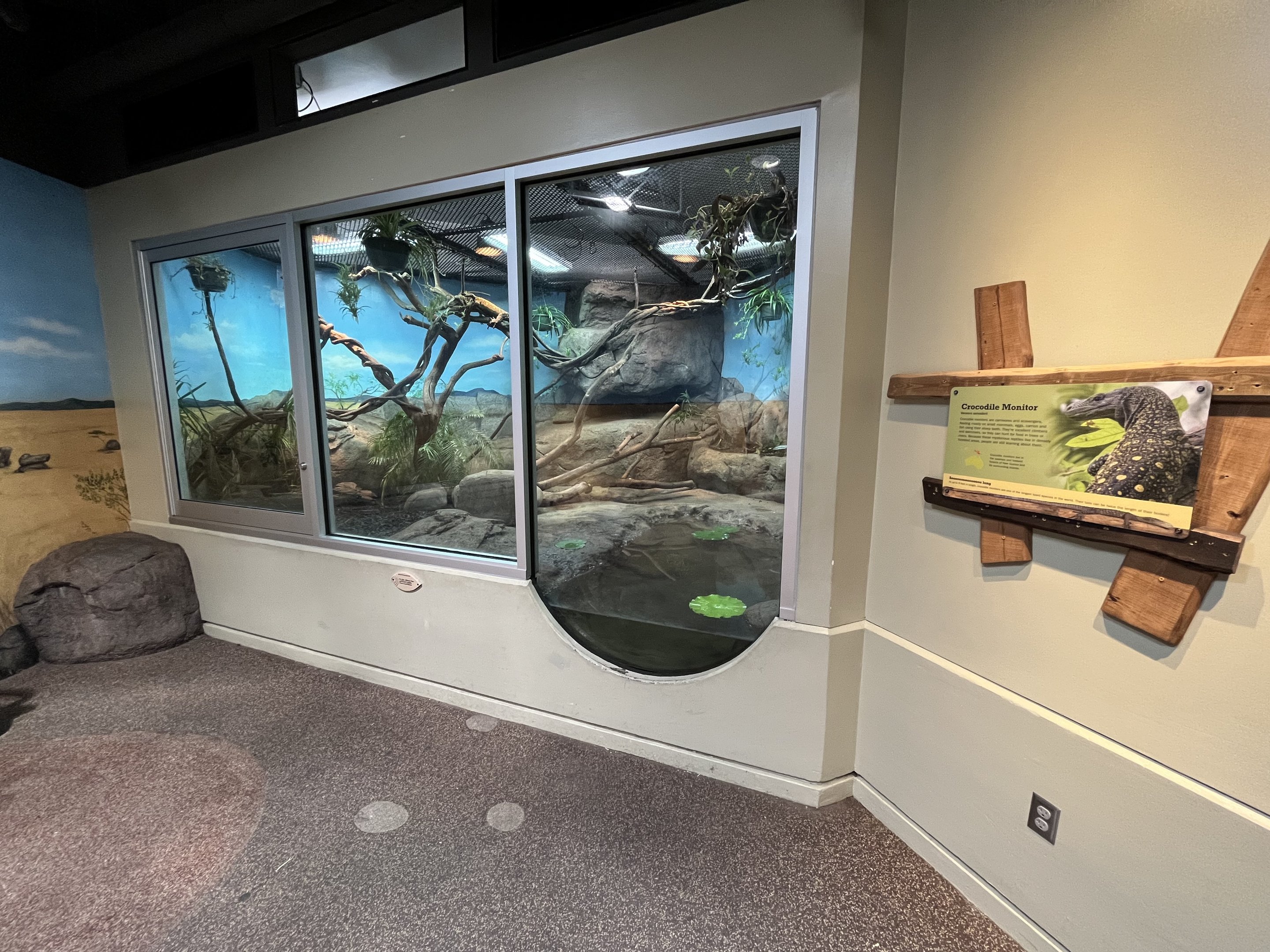 Crocodile Monitor Exhibit