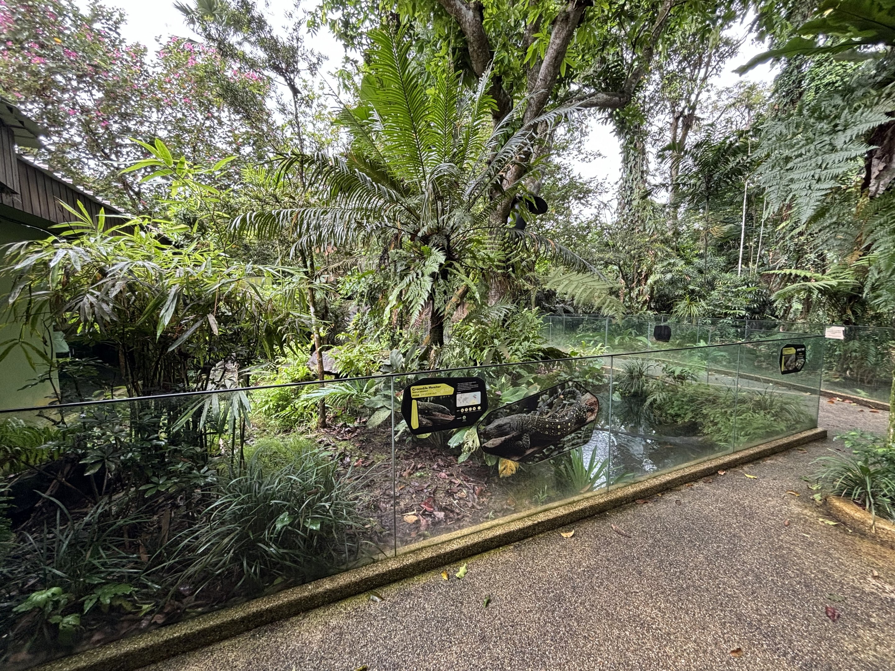 Crocodile Monitor Exhibit