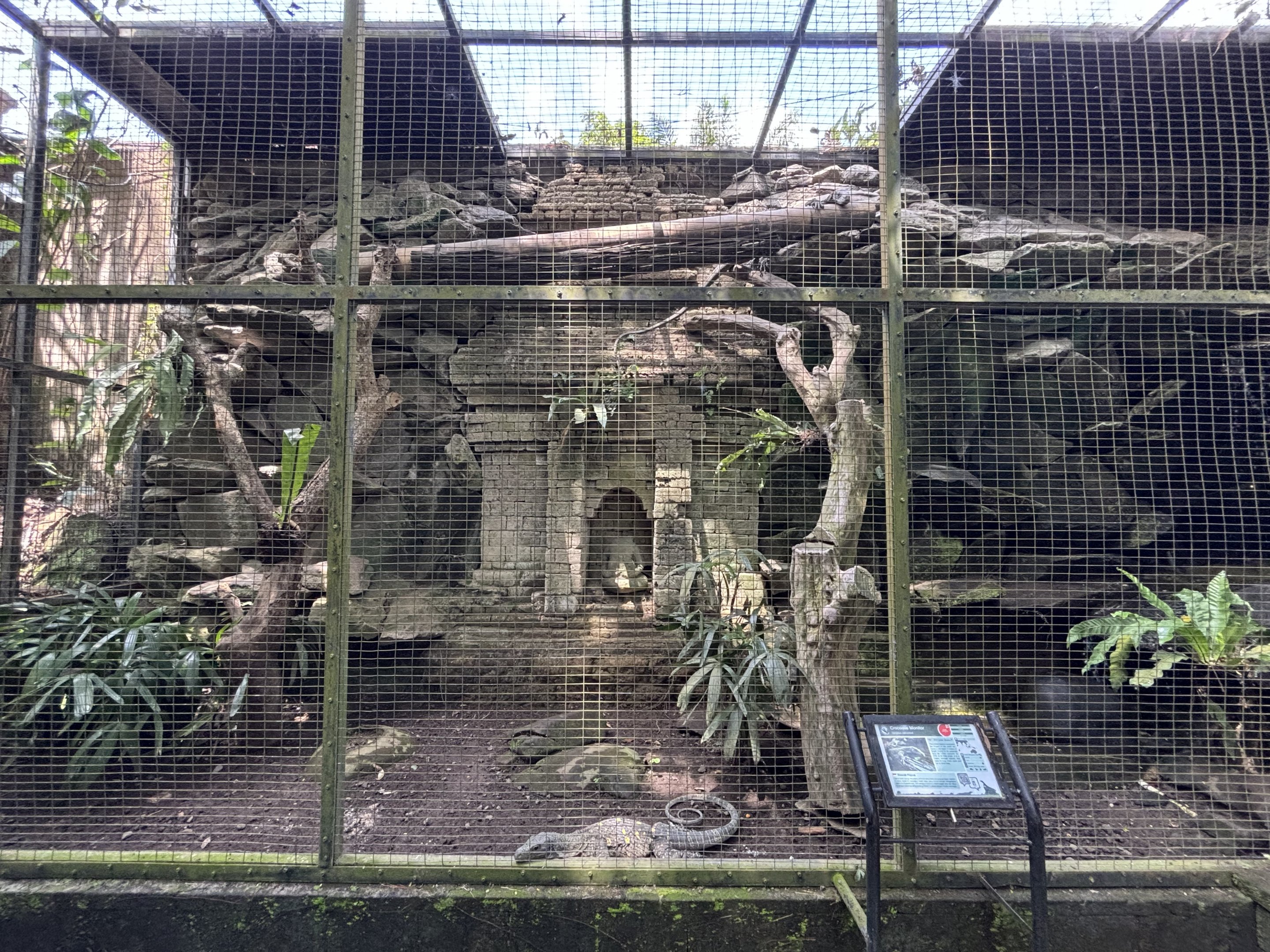 Crocodile Monitor Exhibit