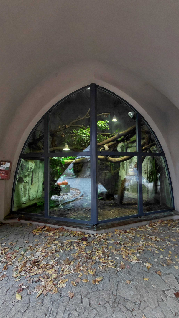 Crocodile monitor exhibit