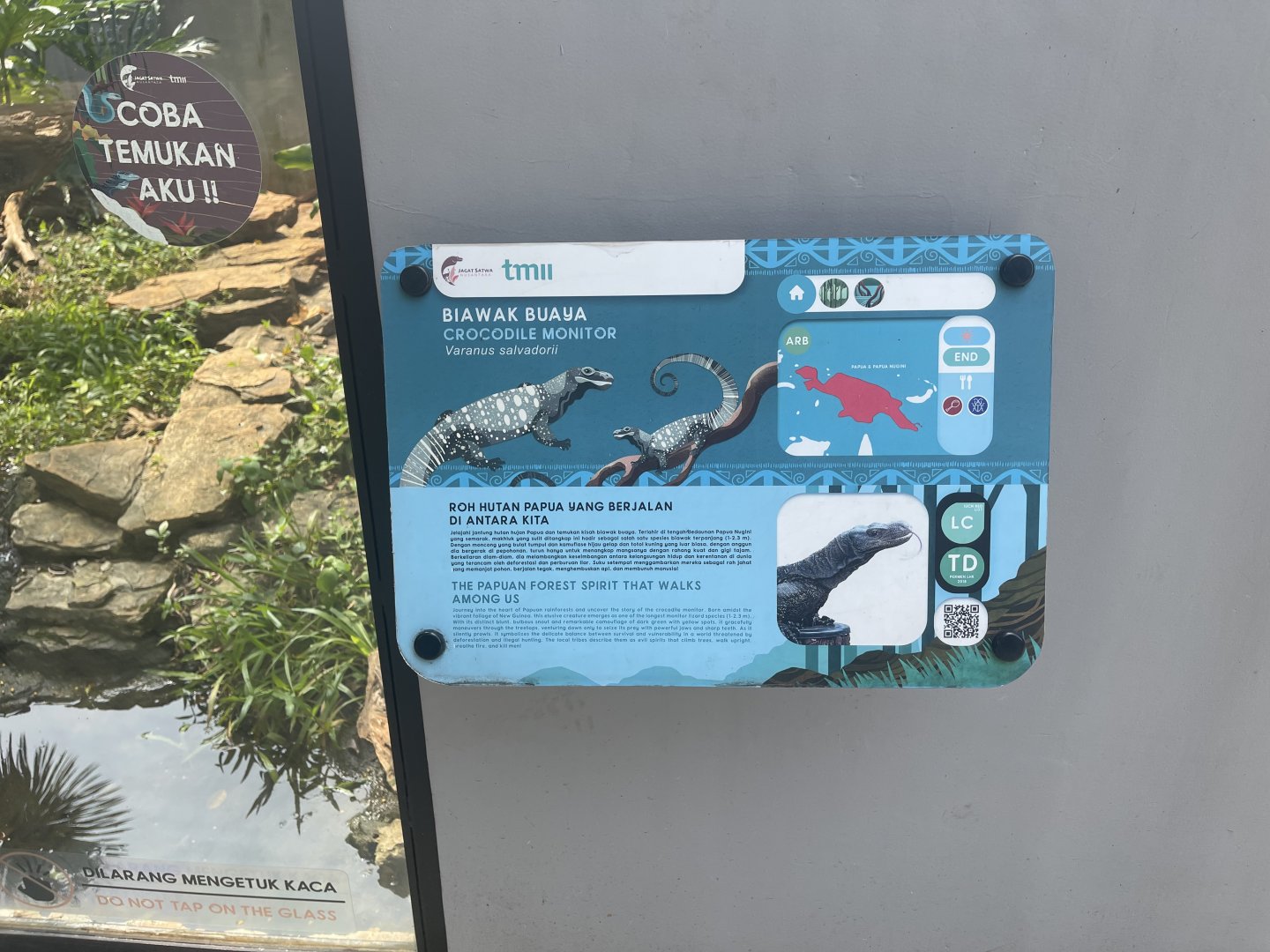 crocodile monitor signage - museum komodo