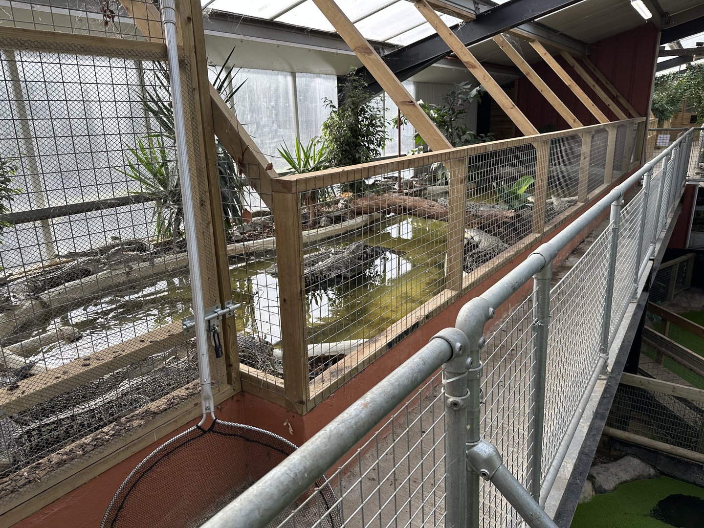 Crocodile Nursery Enclosure at Johnsons of Old Hurst (October 2023)