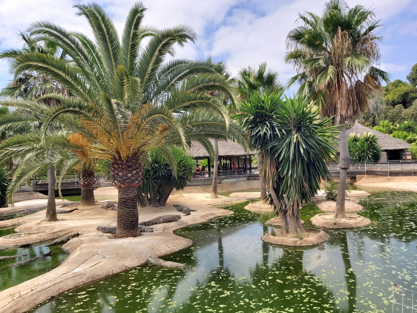 Crocodile Park (Torremolinos): Nile crocodile outdoor enclosure