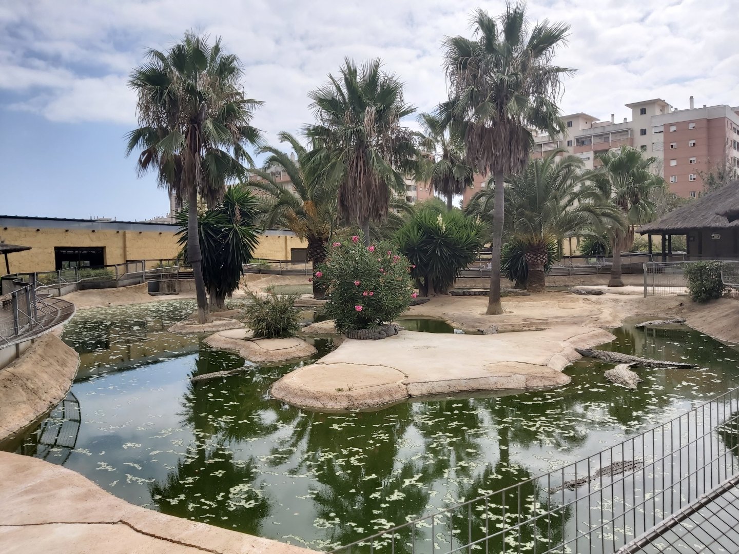 Crocodile Park (Torremolinos): Nile crocodile outdoor enclosure