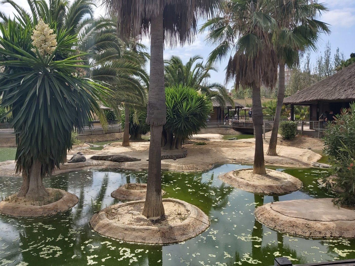 Crocodile Park (Torremolinos): Nile crocodile outdoor enclosure