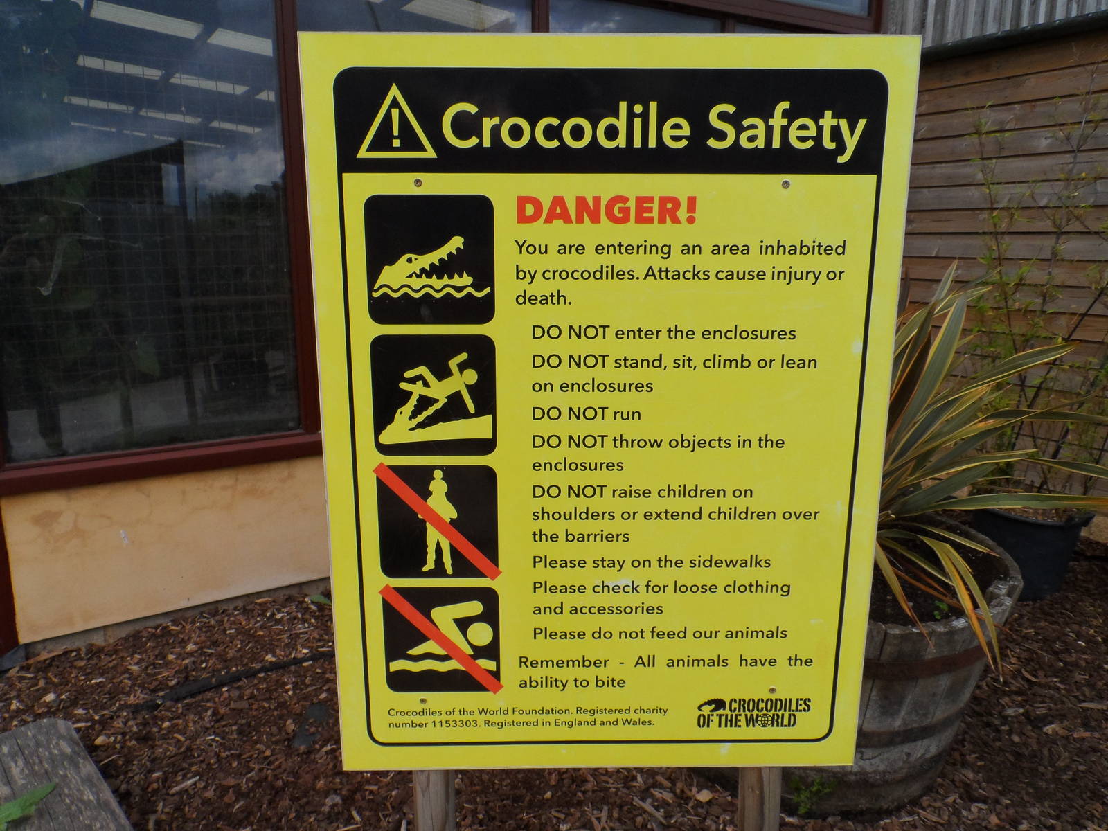 Crocodile Safety