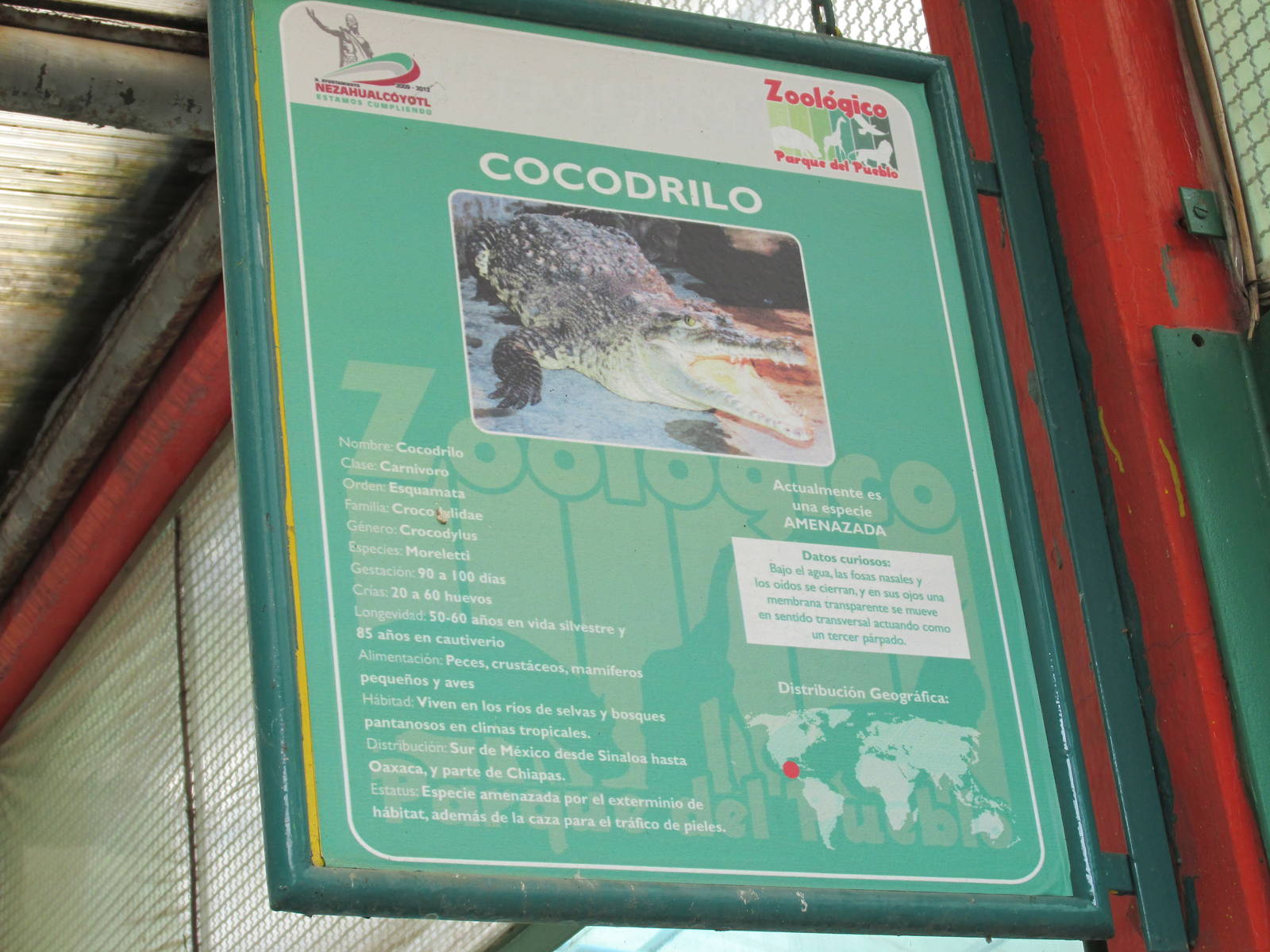 crocodile sign neza zoo