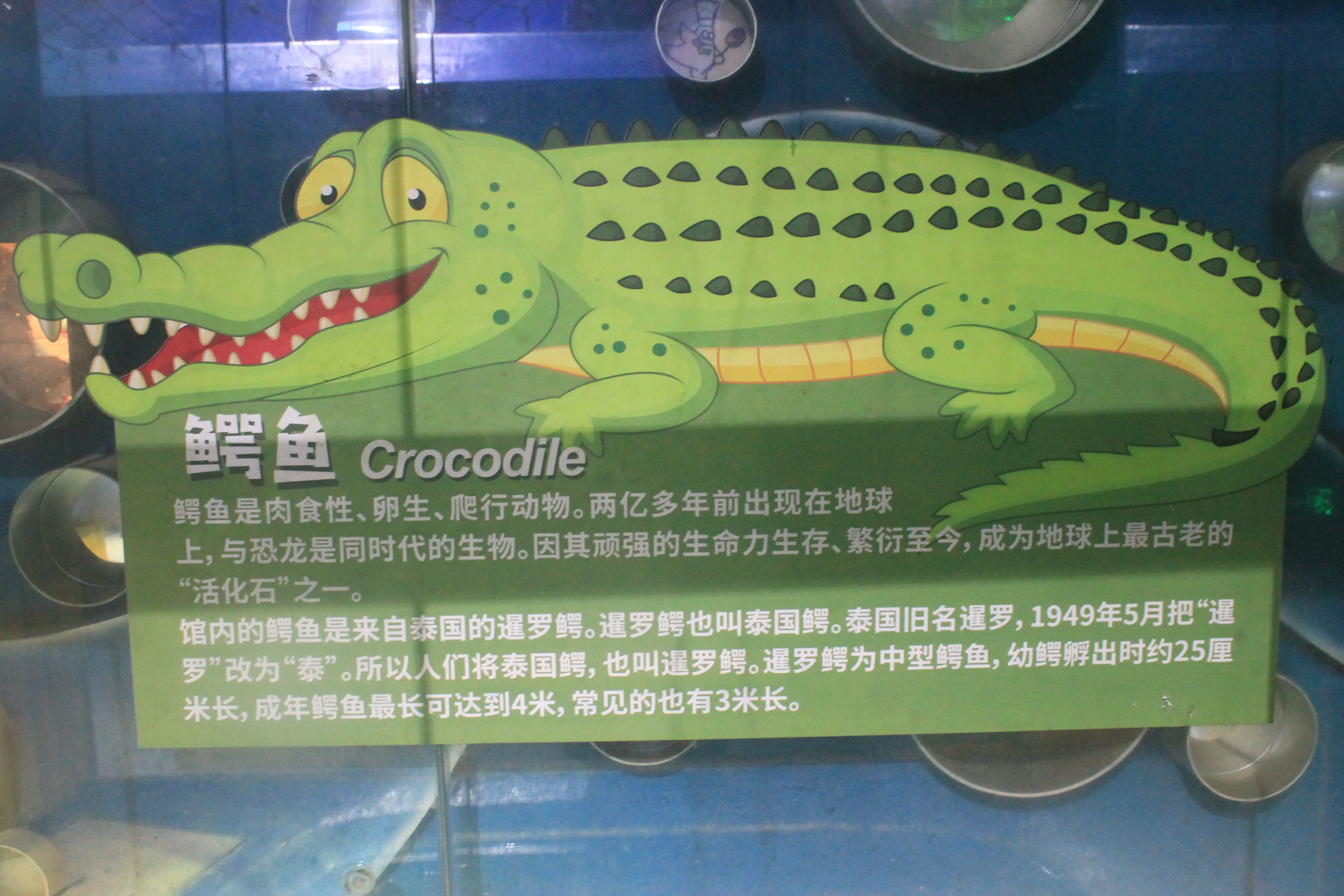 crocodile signage at Fantasy Aquarium, Xi'an