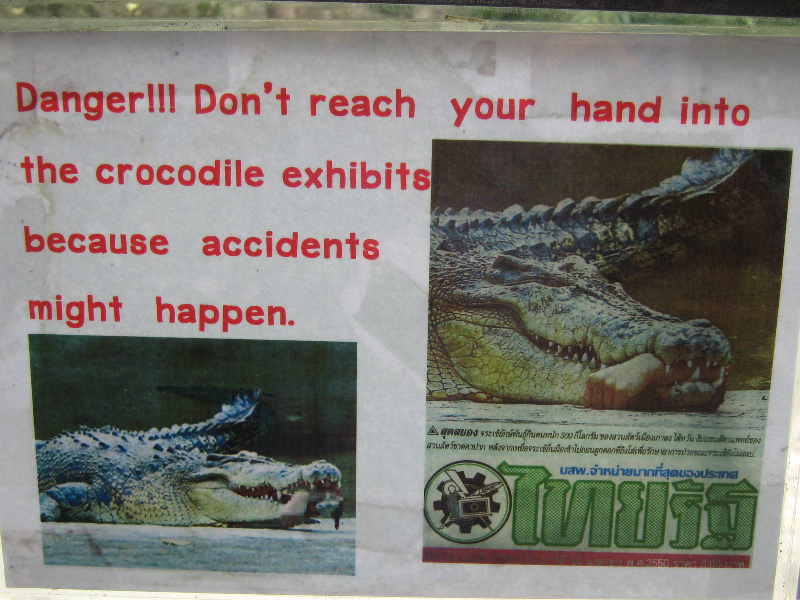 crocodile signage