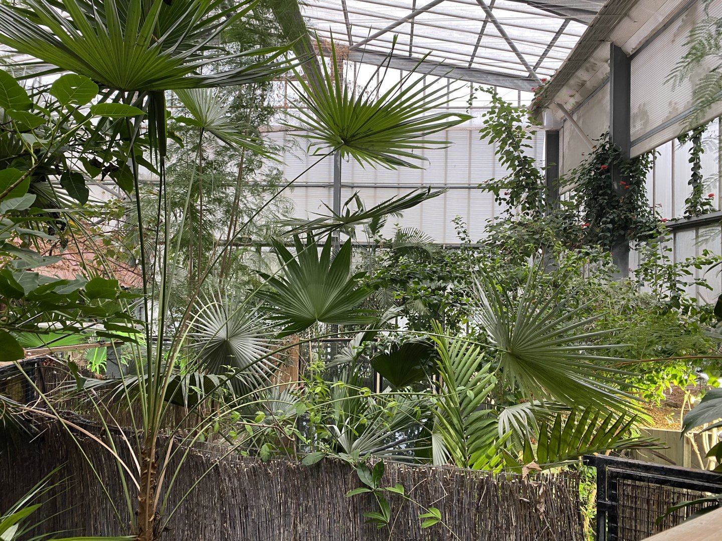 Crocodile Swamp 050120