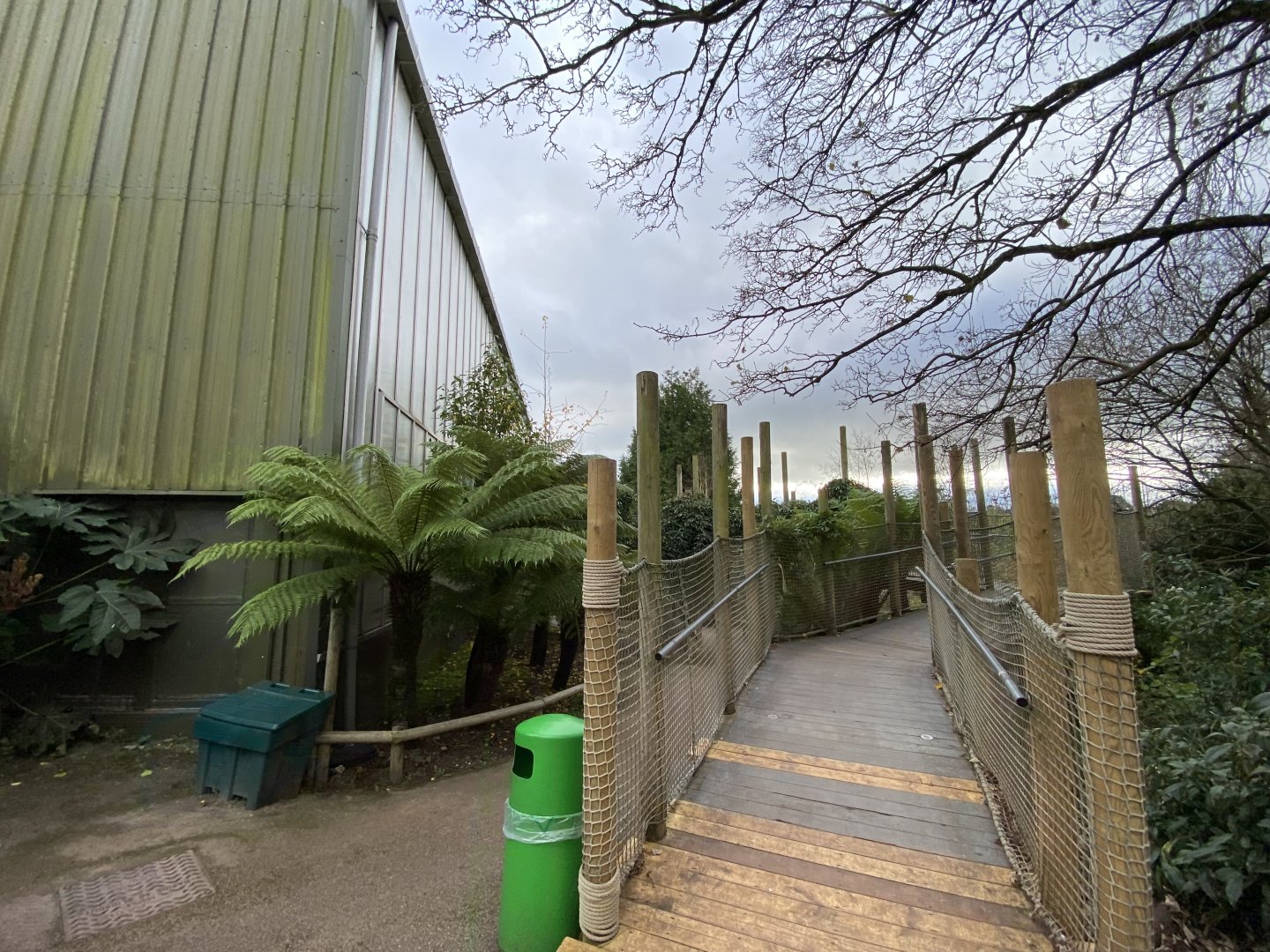 Crocodile Swamp 201121