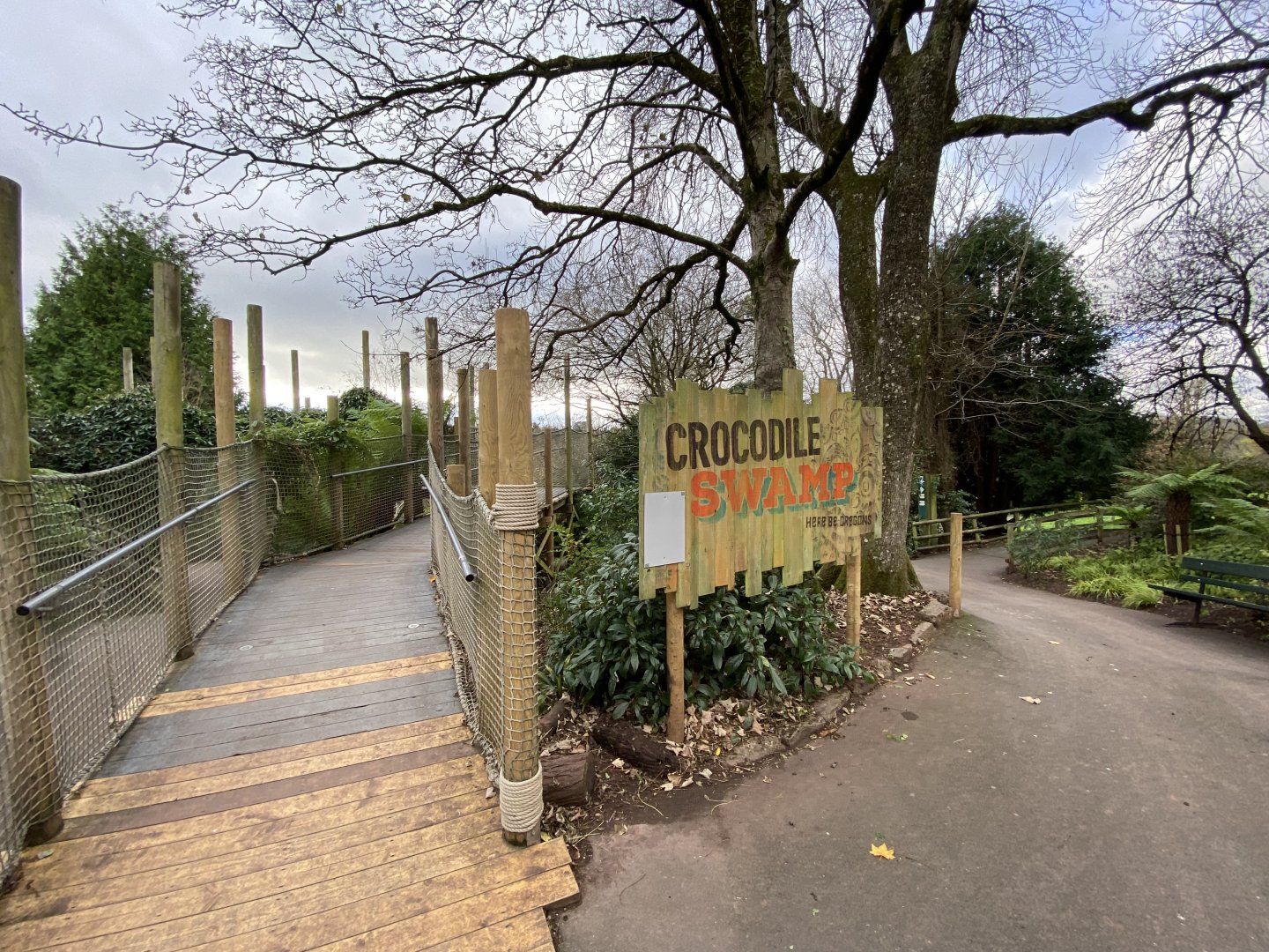 Crocodile Swamp 201121