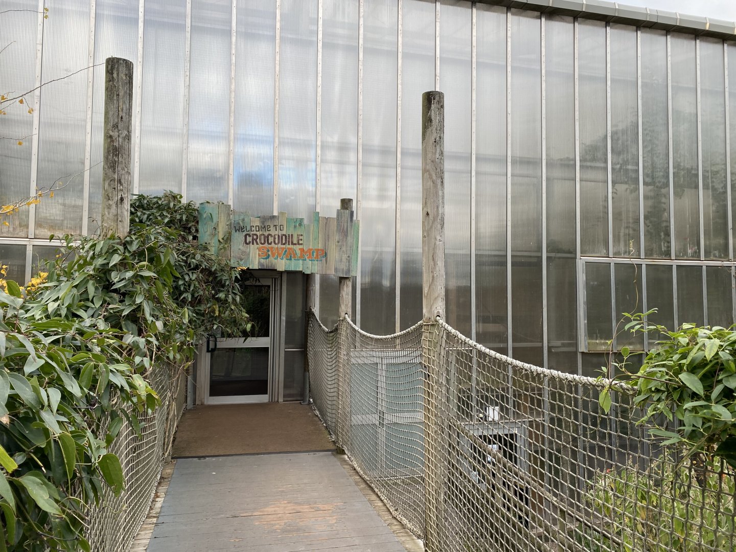 Crocodile Swamp 201121