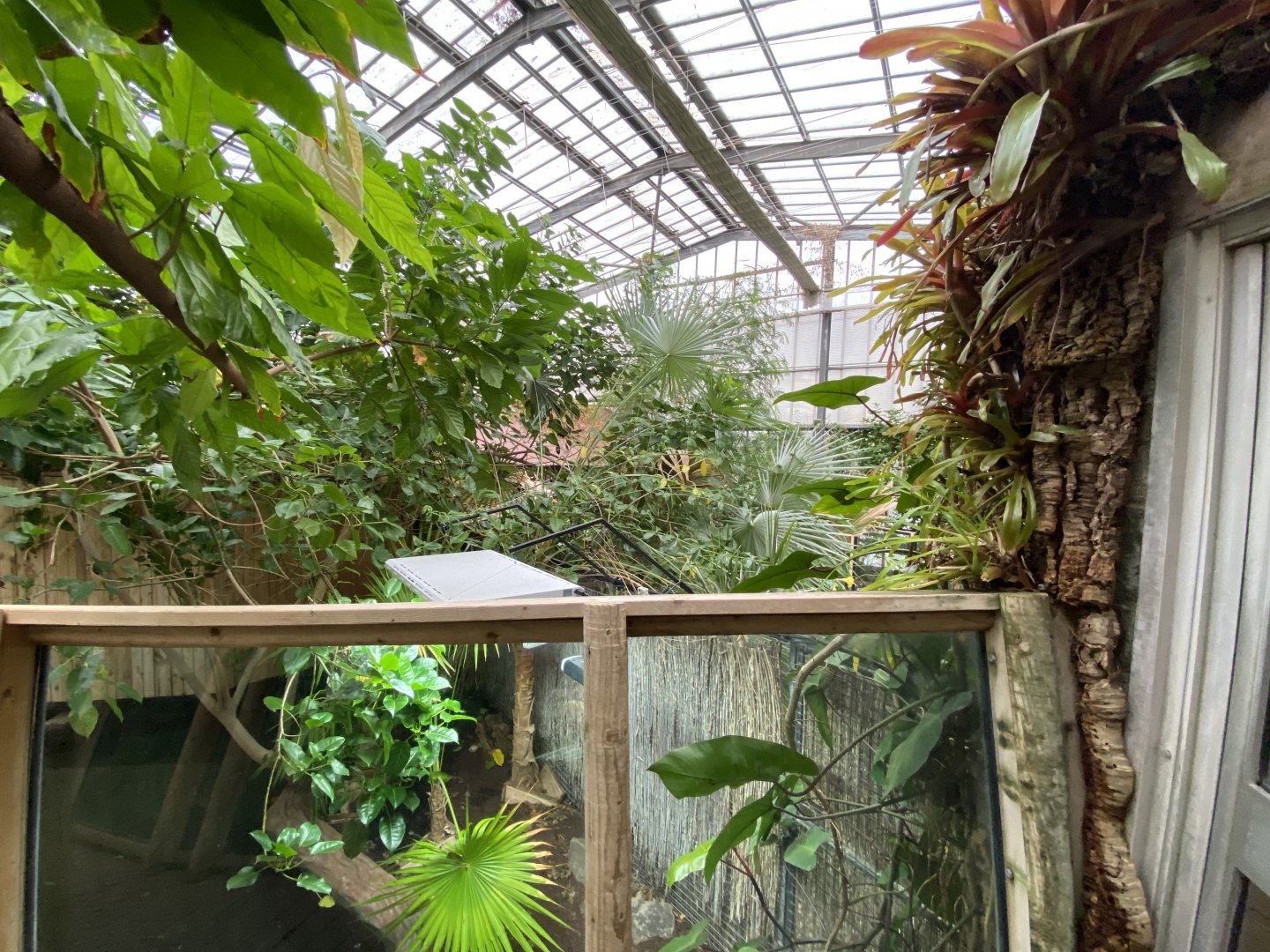 Crocodile Swamp 201121