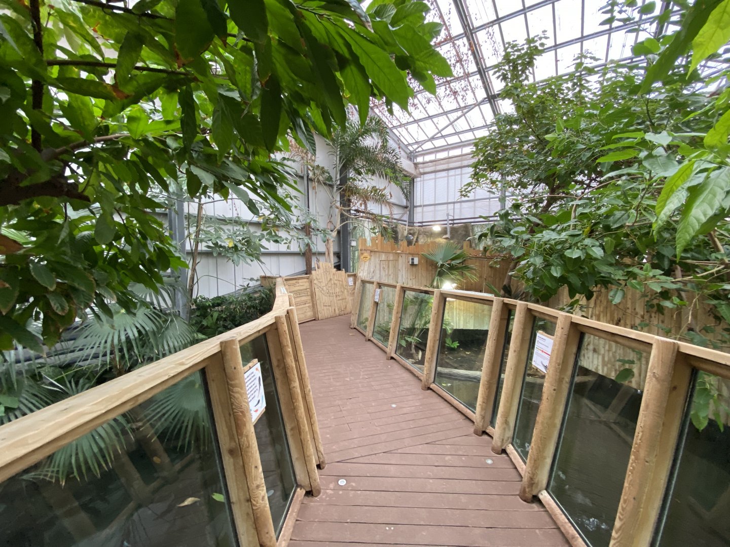 Crocodile Swamp 201121