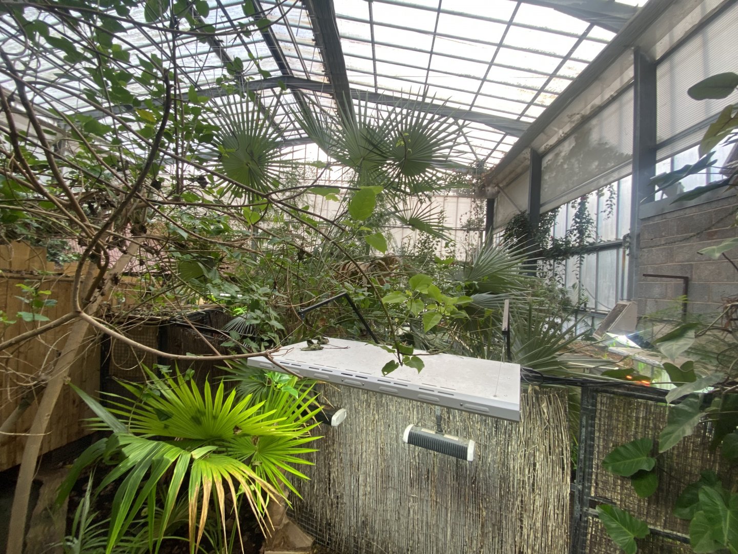 Crocodile Swamp 240222