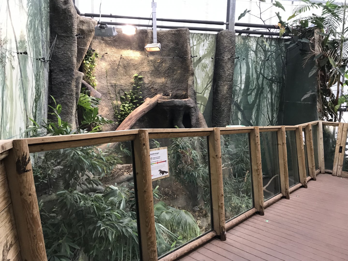 Crocodile Swamp - Komodo dragon exhibit 050119