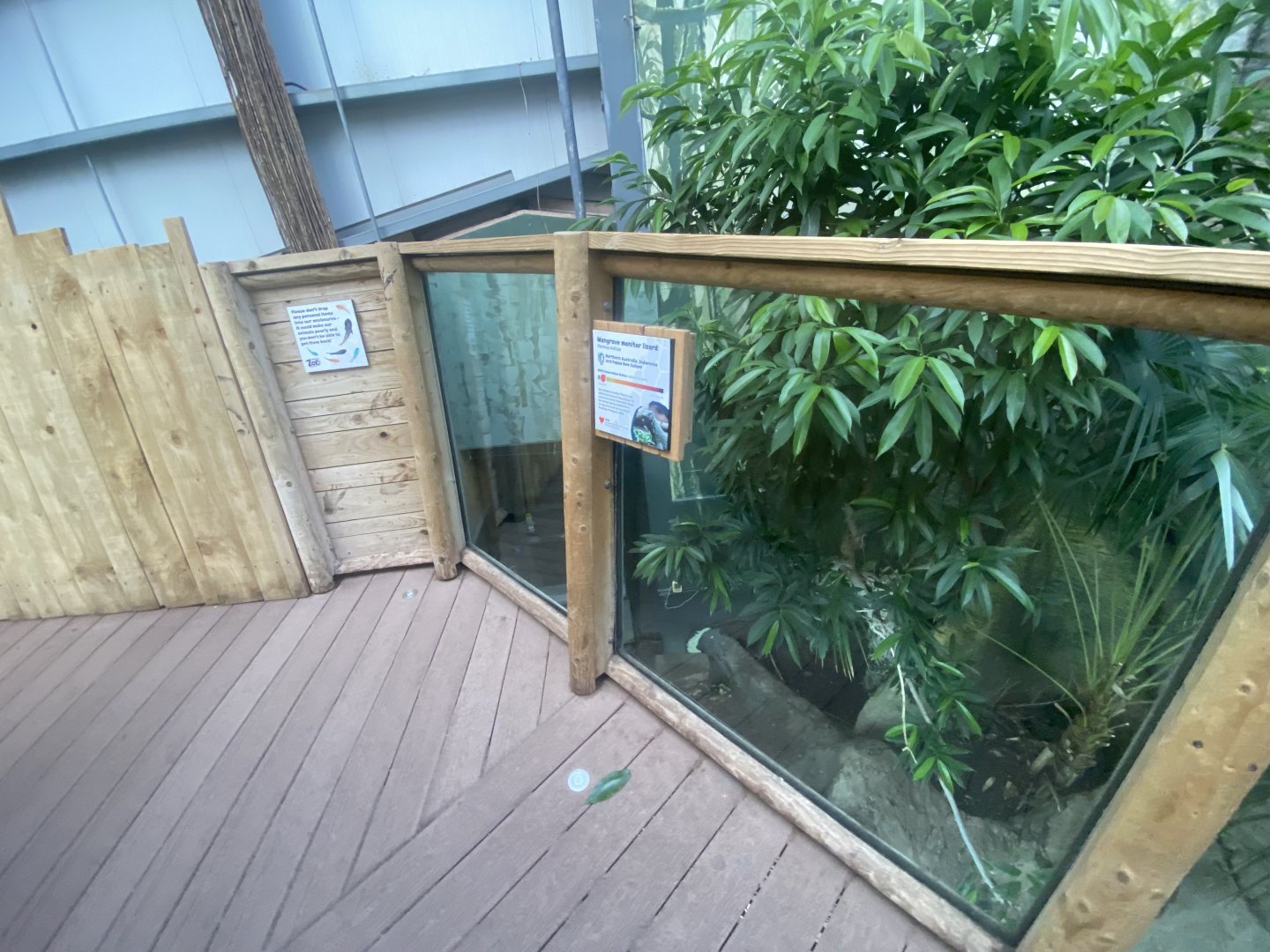 Crocodile Swamp - Mangrove monitor exhibit 030925