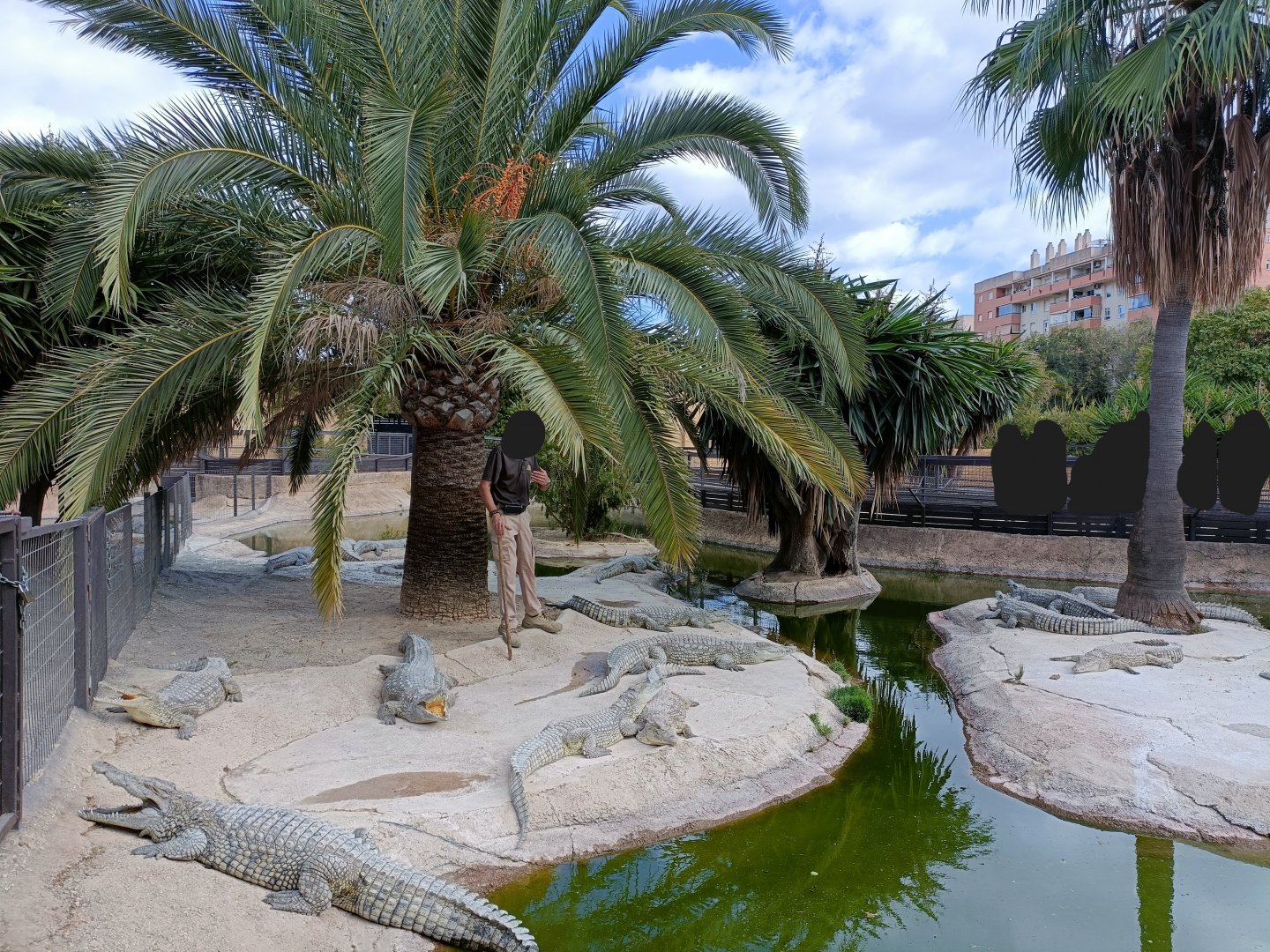 Crocodile talk - Crocodile park Torremolinos