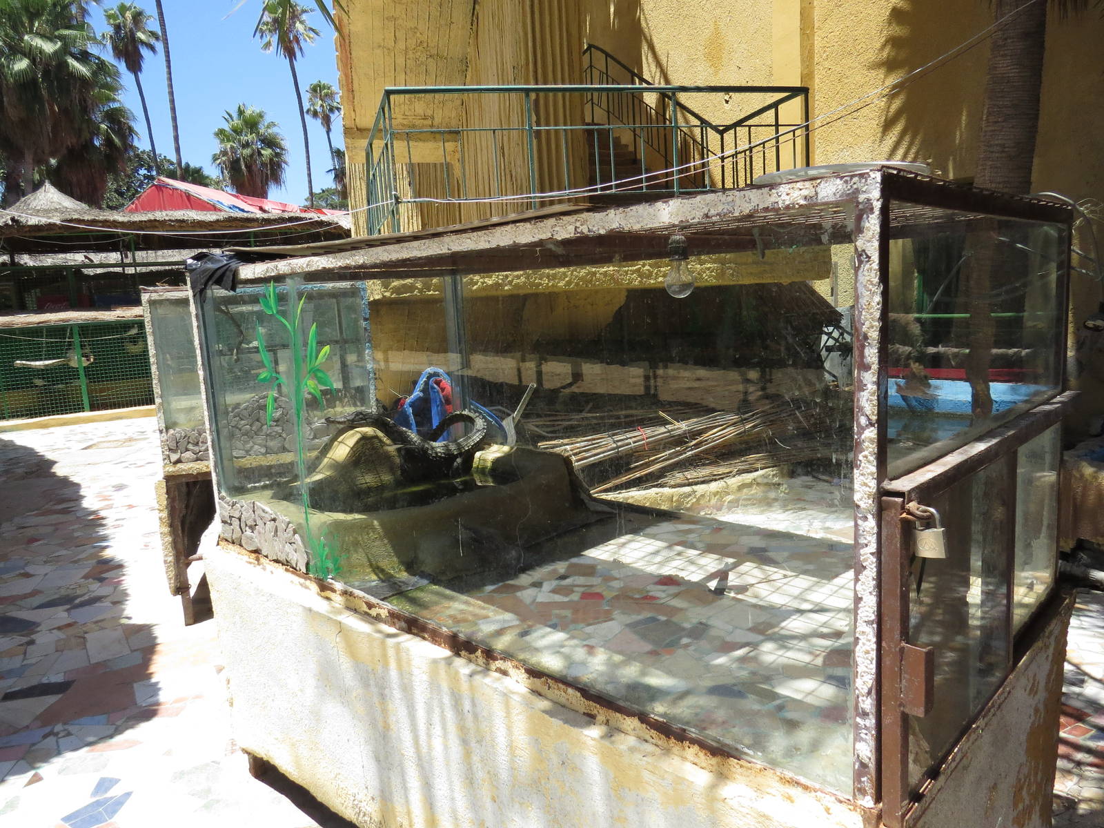 Crocodile tank, July 2014.