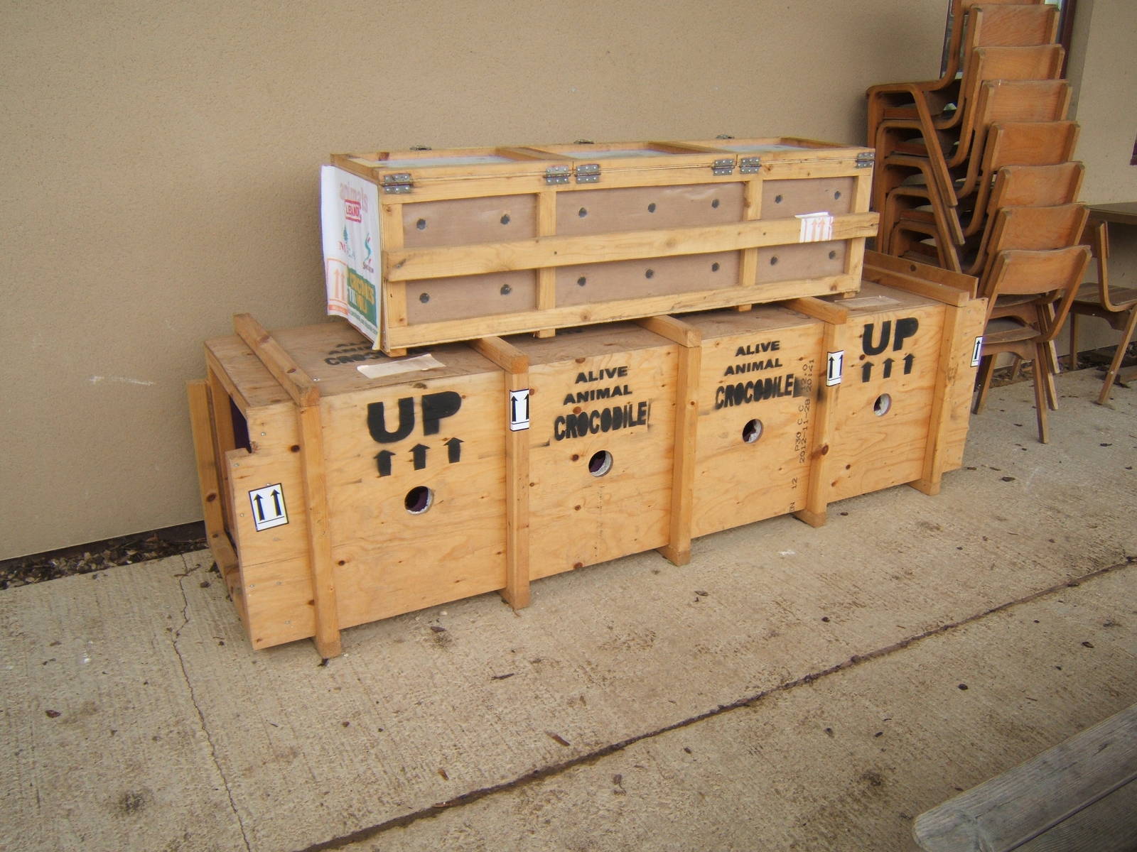 Crocodile transport crates