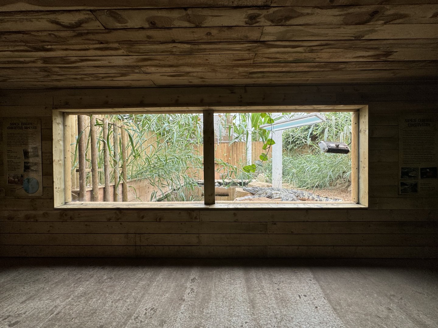 Crocodile Viewing Area at Woodside Wildlife Park (May 2024)