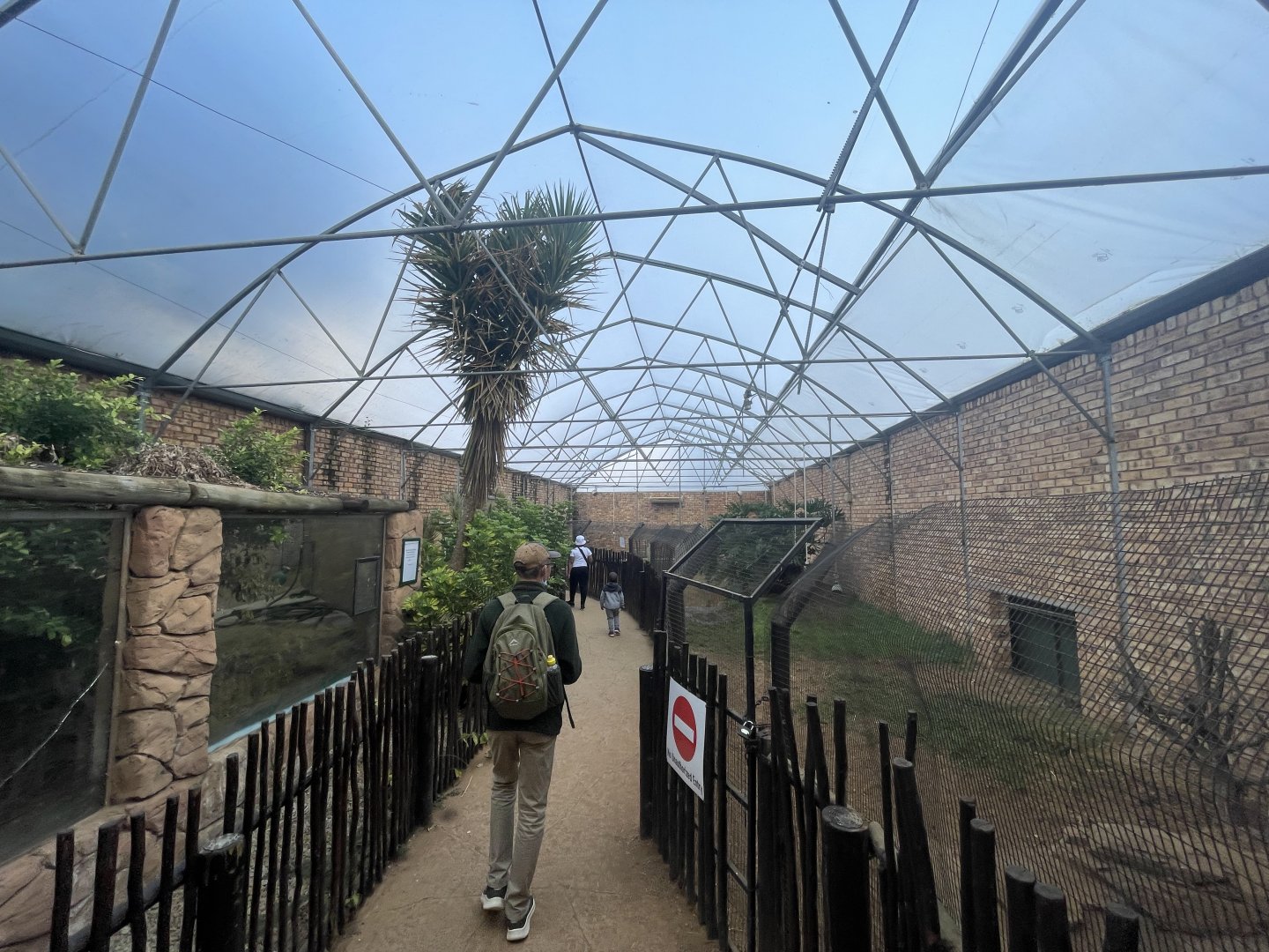 Crocodile Winter House: Nile and Dwarf Crocodiles (Crocodylus niloticus, Osteolaemus tetraspis)