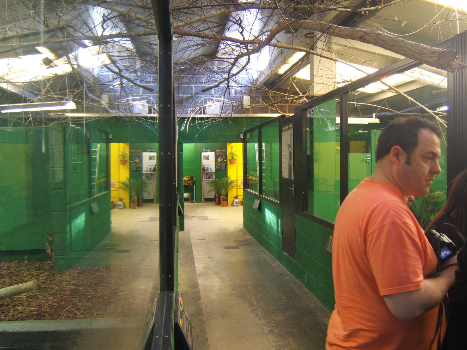 Crocodiles of the World