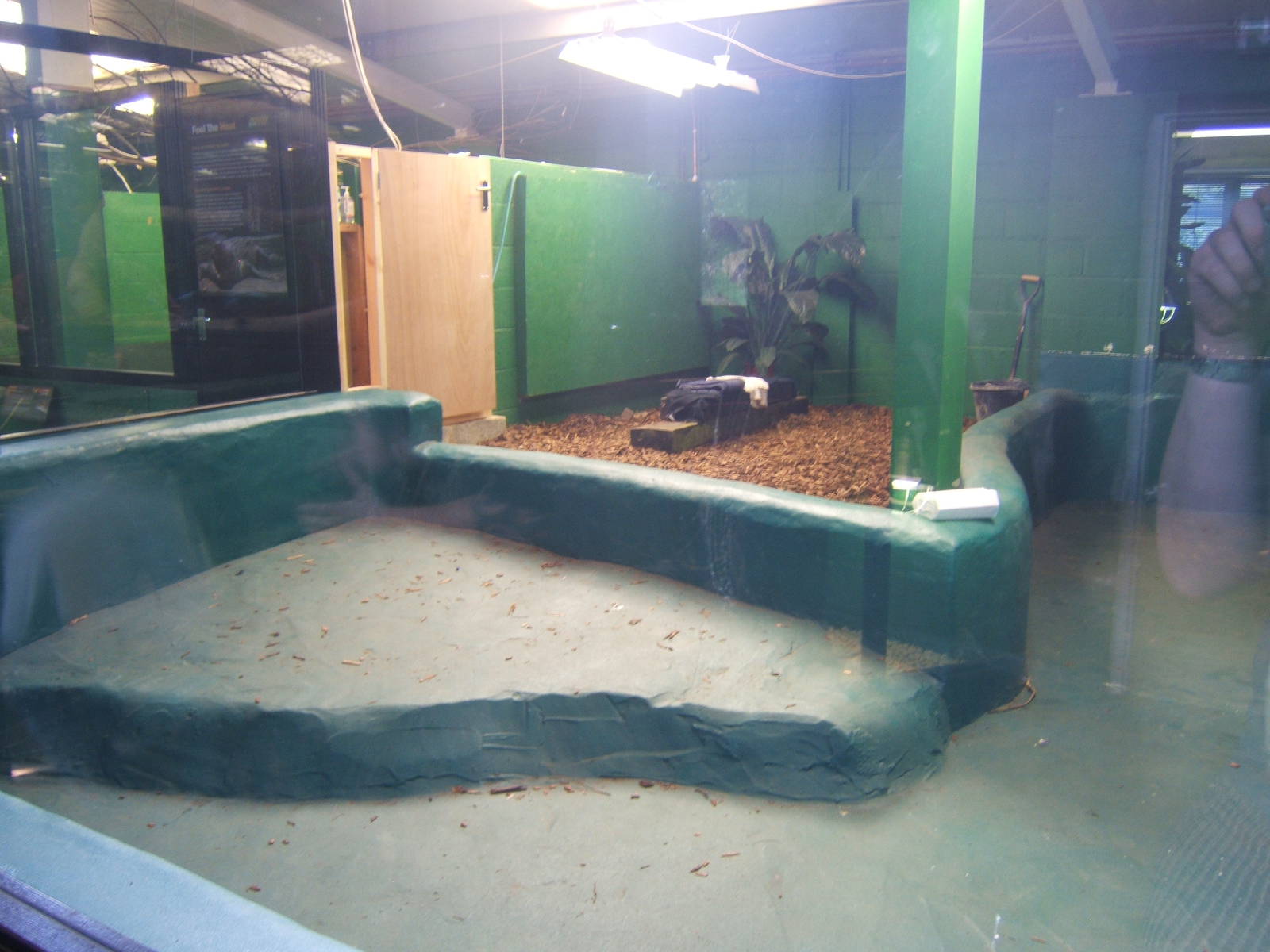 Crocodiles of the World